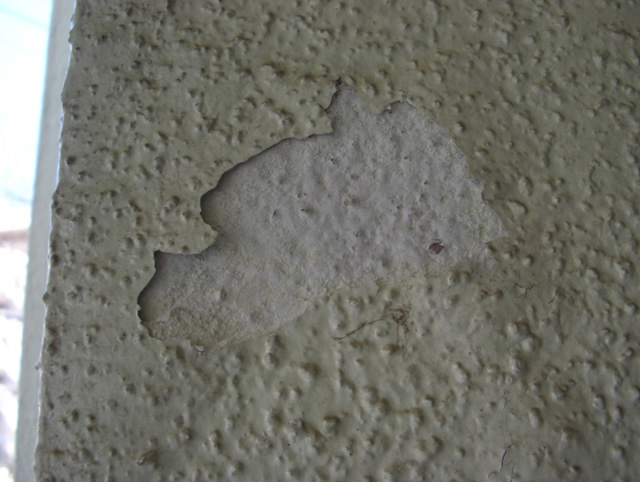 外壁の塗膜剥離