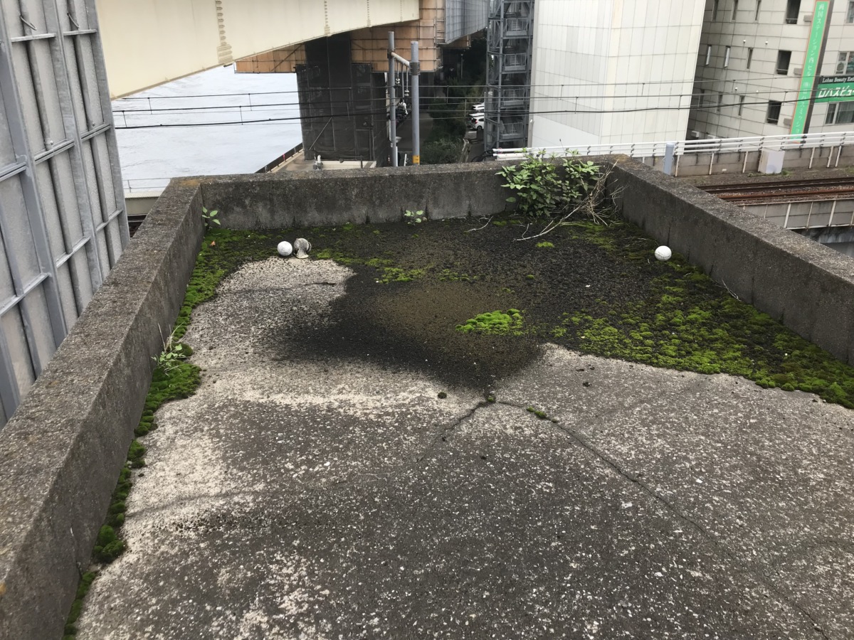 劣化　塔屋